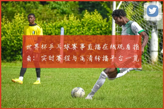 世界杯乒乓球赛事直播在线观看指南:实时赛程与高清转播平台一览